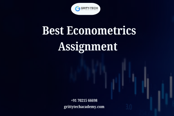 Best Econometrics Assignment Help 